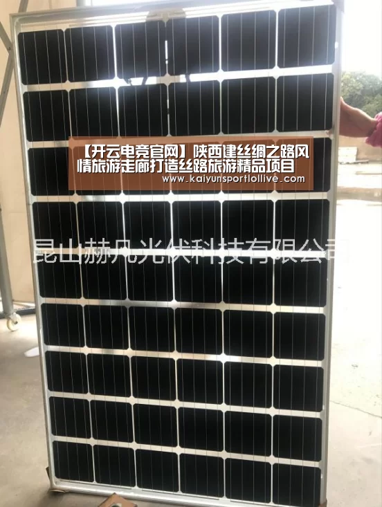 开云电竞官网