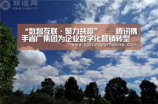 开云电竞官网