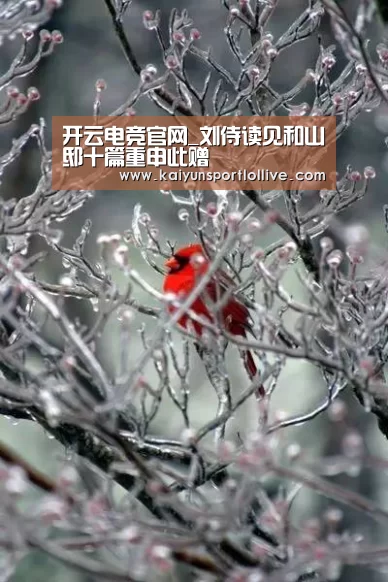 LOL直播