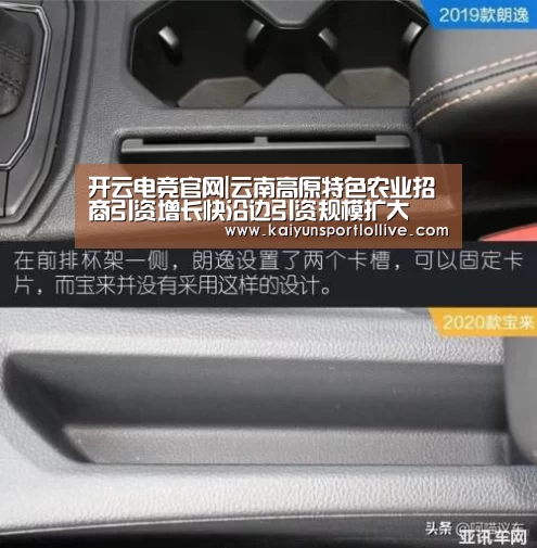 开云电竞官网|云南高原特色农业招商引资增长快沿边引资规模扩大(图1) 电竞官网