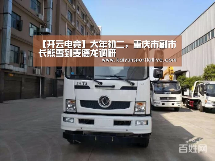 【开云电竞】大年初二,重庆市副市长熊雪到麦德龙调研(图2) 电竞官网