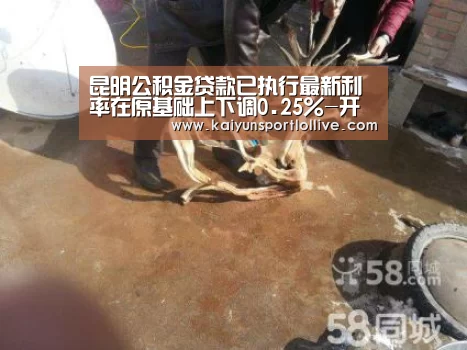 昆明公积金贷款已执行最新利率在原基础上下调0.25%-开云电竞(图1) 开云电竞